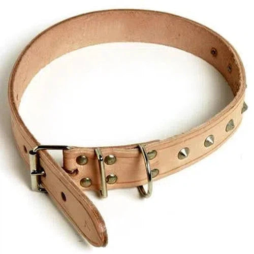 Dog Collar Leather Riveted-No.3 (350x13mm)-