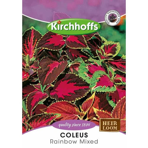 Flower Seed Coleus Kirchhoffs-Rainbow Mixed-Picture Packet-