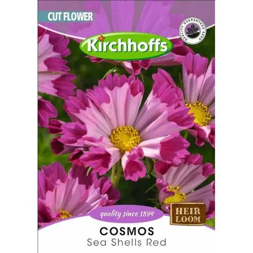 Flower Seed Cosmos Kirchhoffs-Sea Shells Red-Picture Packet-