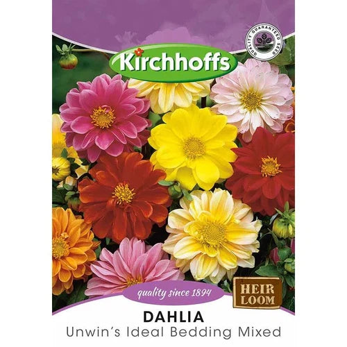 Flower Seed Dahlia Kirchhoffs-Unwin’s Ideal Bedding Mix-Picture Packet-