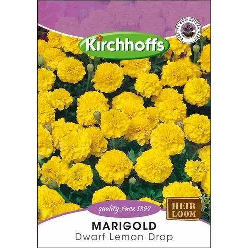 Flower Seed Marigold's Kirchhoffs-Dwarf Lemon Drop-Picture Packet-