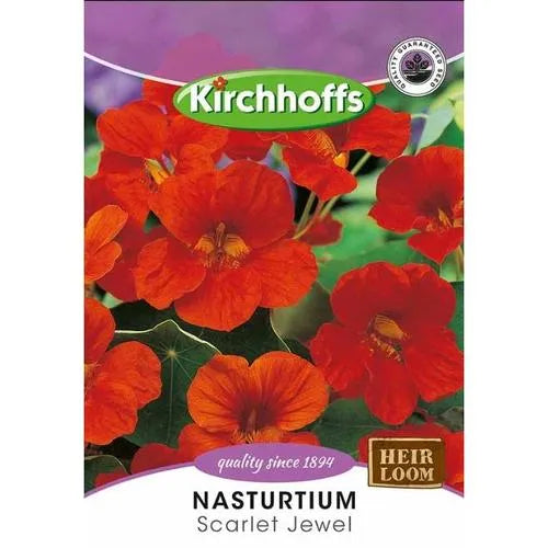 Flower Seed Nasturtium Kirchhoffs-Scarlet Jewel-Picture Packet-