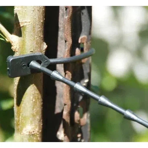 Garden Easi Ties-Medium/πΏ170 x β3ππ-π/25-