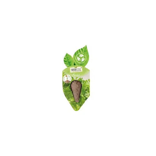 Herb Seed Parsley SeedCell-Single Pod-