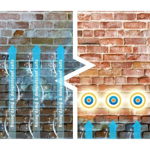 Rising Damp Treatment DryRodยฎ-โ12x180๐๐-๐/10-02/2026
