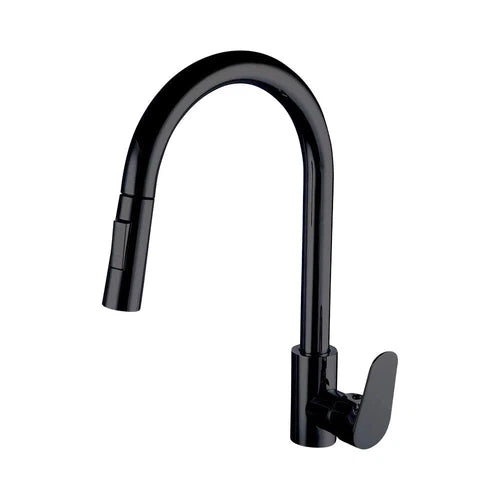 Tap Sink Kitchen Mixer Pull out Spout Rounded Lever-Matt Black-