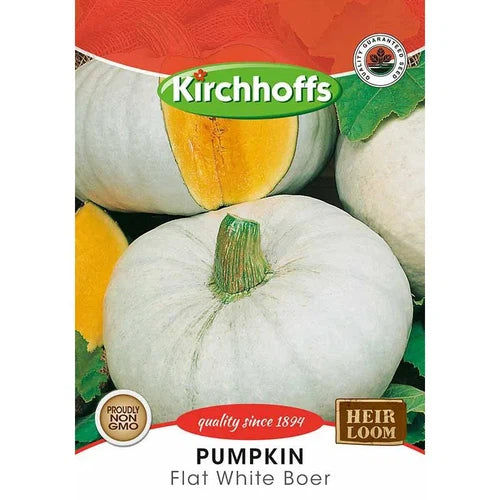 Vegetable Seed Pumpkin's Kirchhoffs-Queensland Blue-Picture Packet-