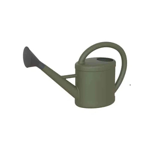 Watering Can with Rose Mondego-5β-Dry Green-