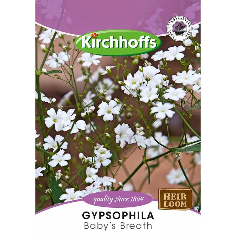 Flower Seed Gypsophila Kirchhoffs-Seeds-Kirchhoffs-Baby’s Breath-Picture Packet-diyshop.co.za