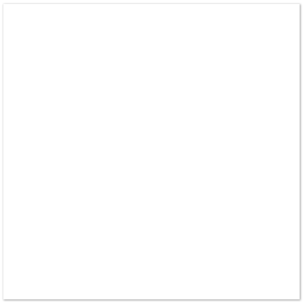 Tile 60x60cm RG10004B Matt White