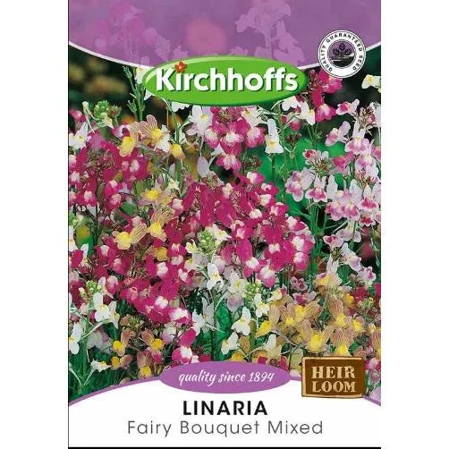 Flower Seed Linaria Kirchhoffs-Fairy Bouquet Mixed-Picture Packet-