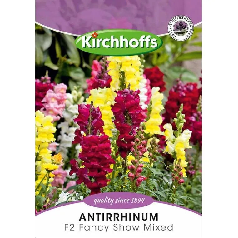 Flower Seed Antirrhinum Kirchhoffs-F2 Fancy Show Mix-Picture Packet-