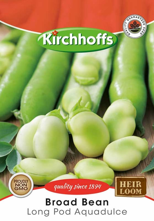 Vegetable Seed Broad Bean Kirchhoffs