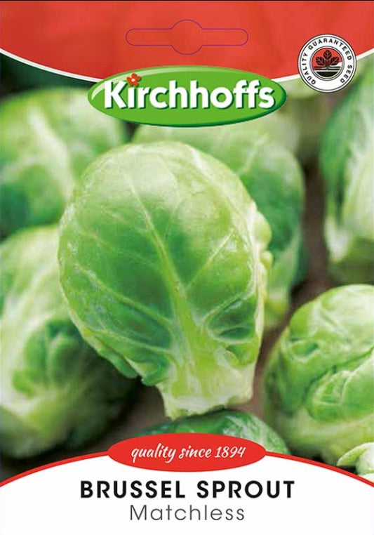 Vegetable Seed Brussel Sprout Kirchhoffs