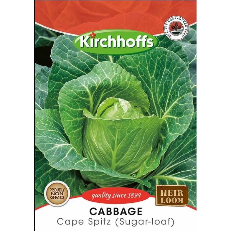 I-Kirchhoffs yembewu yeklabishi yemifino 