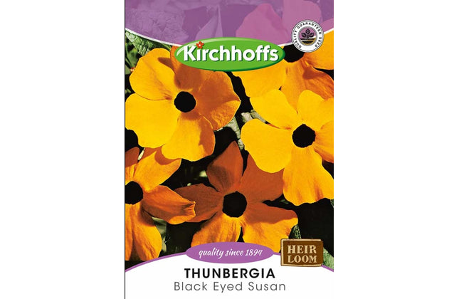 Flower Seed Thunbergia Kirchhoffs