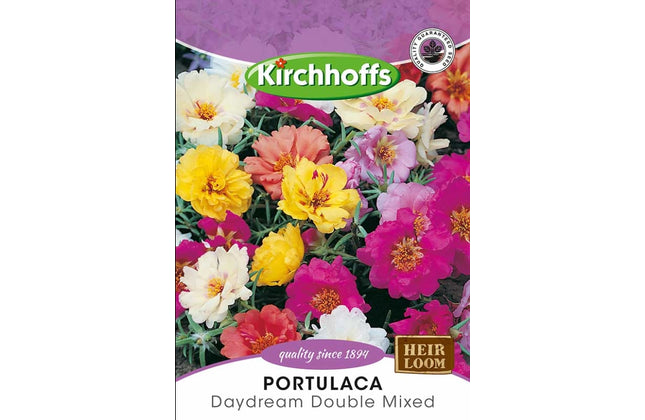 Flower Seed Porulaca Kirchhoffs