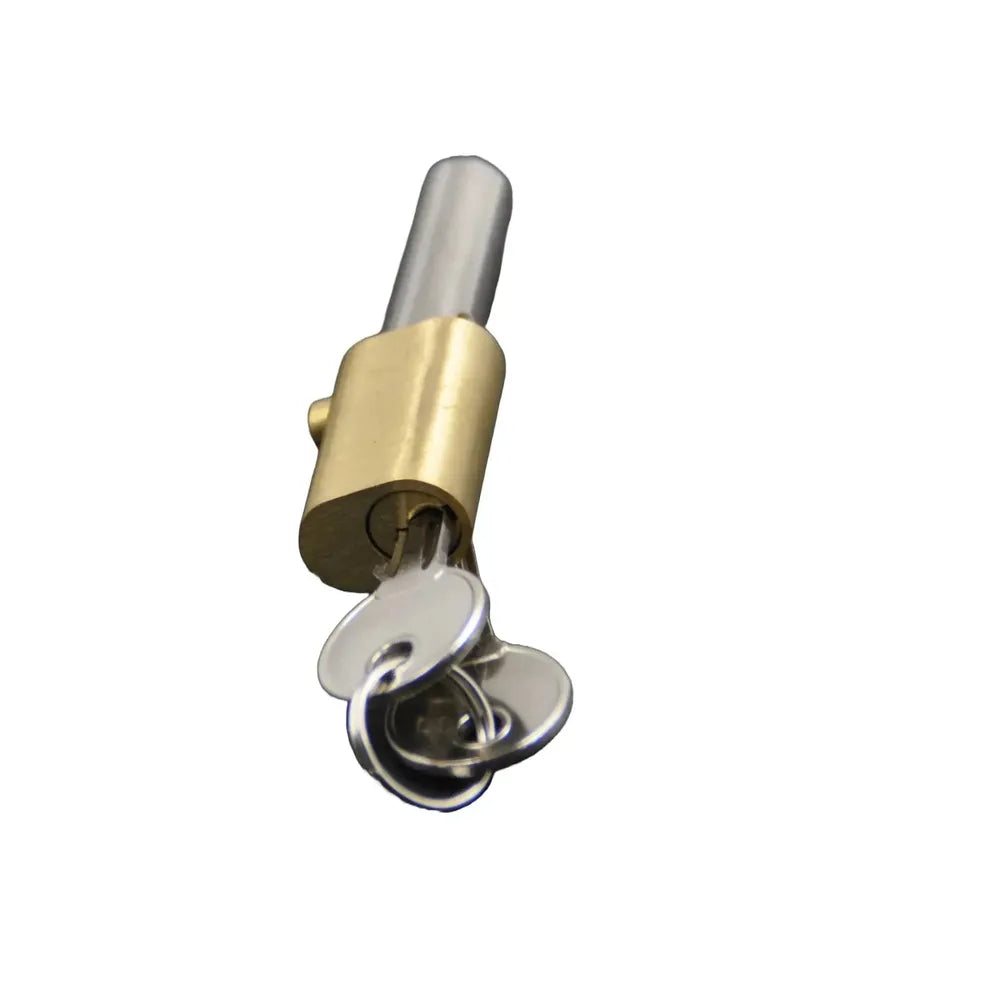 Bullet Lock Pin-