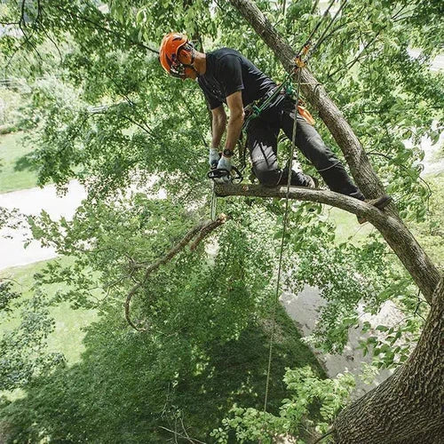 Chainsaw 2T 1.4𝑘𝑊 MS194T Stihl-+𝐿35𝑐𝑚🟡63PM3 50𝐷𝐿 BAR&CHN-