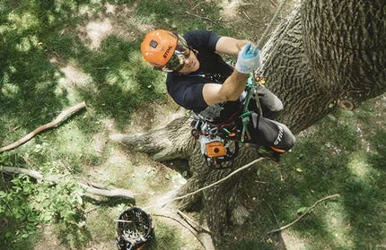 Chainsaw 2T 1.4𝑘𝑊 MS194T Stihl-+30𝑐𝑚6️⃣44𝐷𝐿 BAR&CHN-