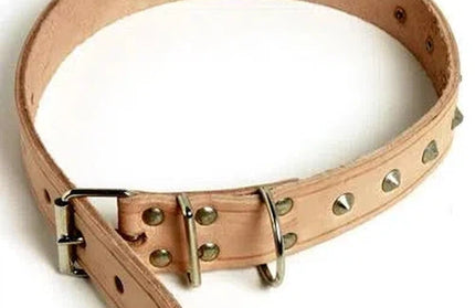 Dog Collar Leather Riveted-No.3 (350x13mm)