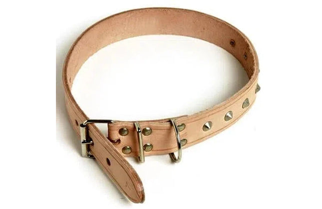Dog Collar Leather Riveted-No.3 (350x13mm)