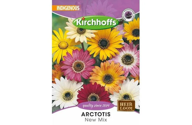 Flower Seed Arctotis Kirchhoffs-Crystal Palace-Picture Packet