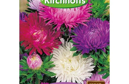 Flower Seed Aster Kirchhoffs-Princess Type Mixed-Picture Packet