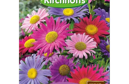 Flower Seed Aster Kirchhoffs-Single Rainbow Mixed-Picture Packet