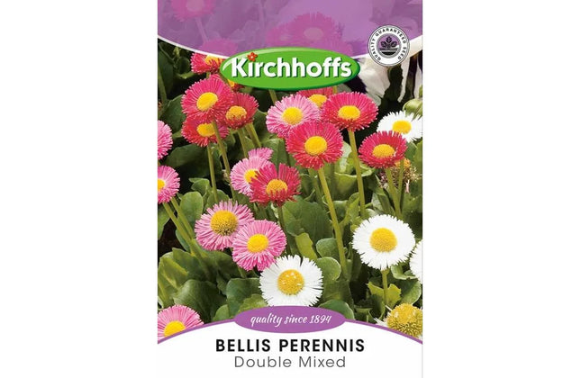 Flower Seed Bellis Perennis Kirchhoffs-Mixed-Picture Packet