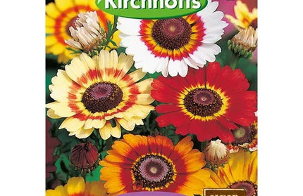 Flower Seed Chrysanthemum's Kirchhoffs-Single Merry Mix-Picture Packet