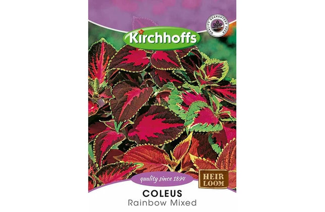 Flower Seed Coleus Kirchhoffs-Rainbow Mixed-Picture Packet