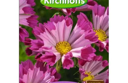 Flower Seed Cosmos Kirchhoffs-Sea Shells Red-Picture Packet