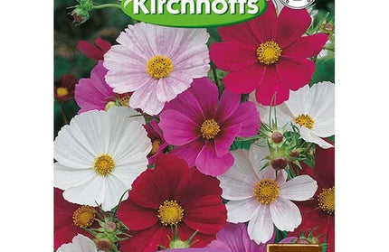 Flower Seed Cosmos Kirchhoffs-Sensation Mixed-Picture Packet