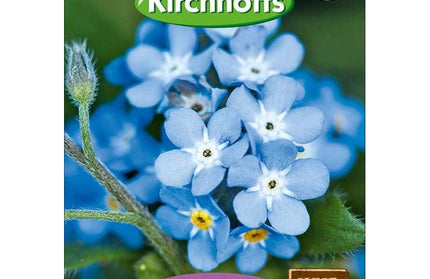 Flower Seed Forget-Me-Not Kirchhoffs-Lavender Lady-Picture Packet