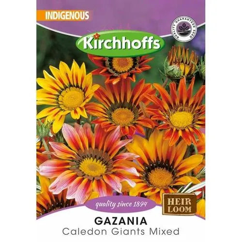 Flower Seed Gazania Kirchhoffs-Caledon Giants Mixed-Picture Packet-