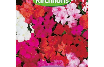 Flower Seed Impstiens Kirchhoffs-Super Dwarf Mixed-Picture Packet