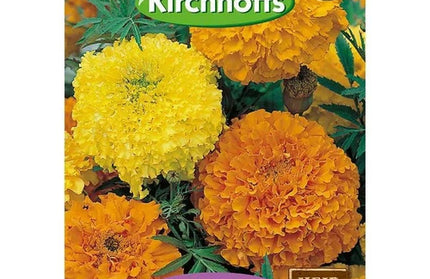 Flower Seed Marigold's Kirchhoffs-Crackerjack Mixed-Picture Packet