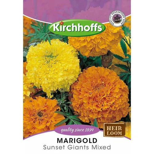 Flower Seed Marigold's Kirchhoffs-Crackerjack Mixed-Picture Packet-