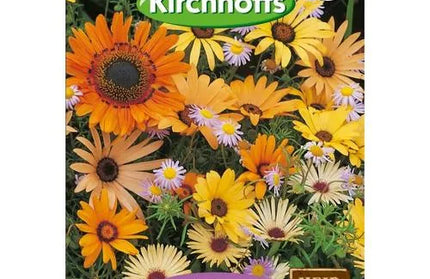 Flower Seed Namaqualand Kirchhoffs-Flower Scatterings-Picture Packet