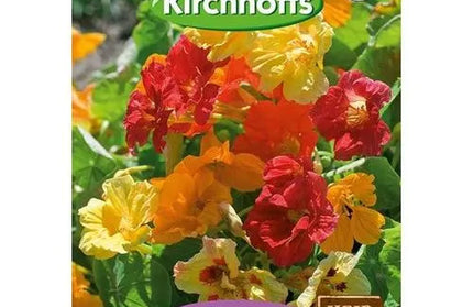 Flower Seed Nasturtium Kirchhoffs-Climbing Tall Mixed-Picture Packet