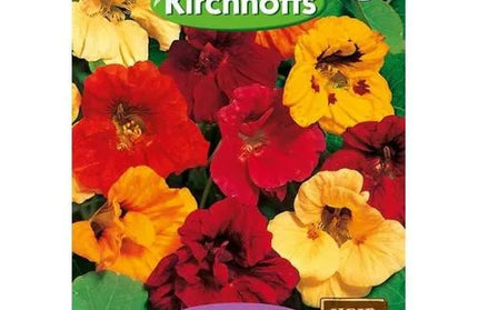 Flower Seed Nasturtium Kirchhoffs-Dwarf Double Gem Mix-Picture Packet