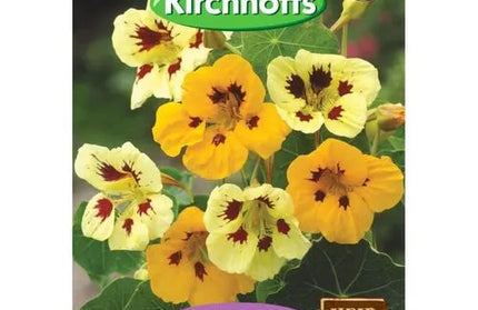 Flower Seed Nasturtium Kirchhoffs-Lady Bird Mix-Picture Packet