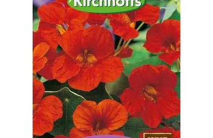 Flower Seed Nasturtium Kirchhoffs-Scarlet Jewel-Picture Packet