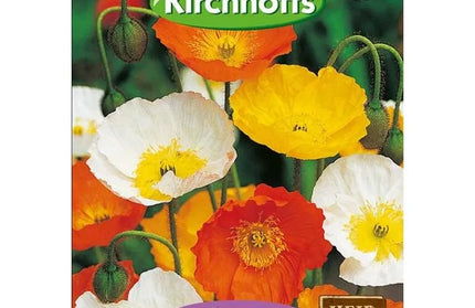 Flower Seed Poppy Kirchhoffs-Iceland Super Giant Art-Picture Packet