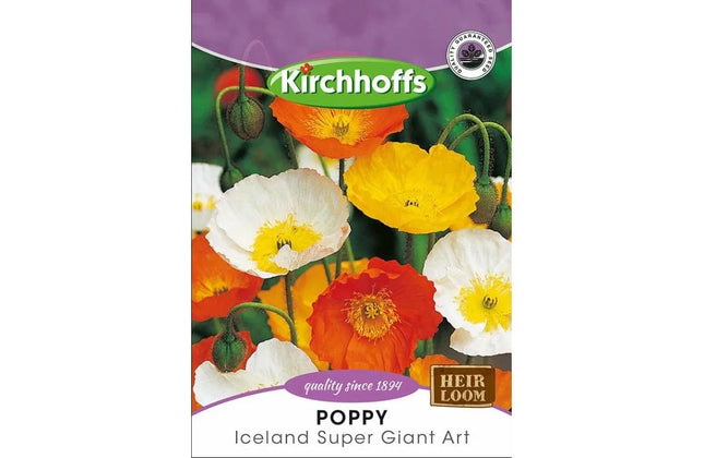 Flower Seed Poppy Kirchhoffs-Iceland Super Giant Art-Picture Packet