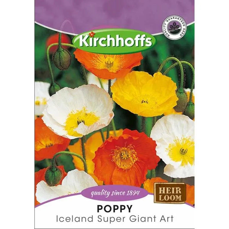 Flower Seed Poppy Kirchhoffs