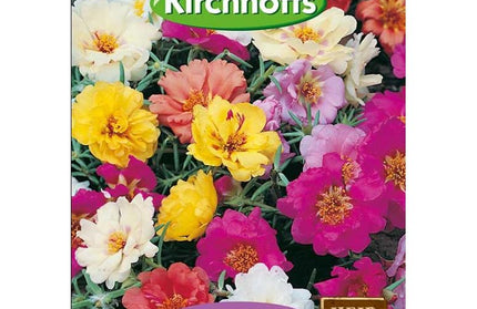 Flower Seed Porulaca Kirchhoffs-Daydream Double Mixed-Picture Packet
