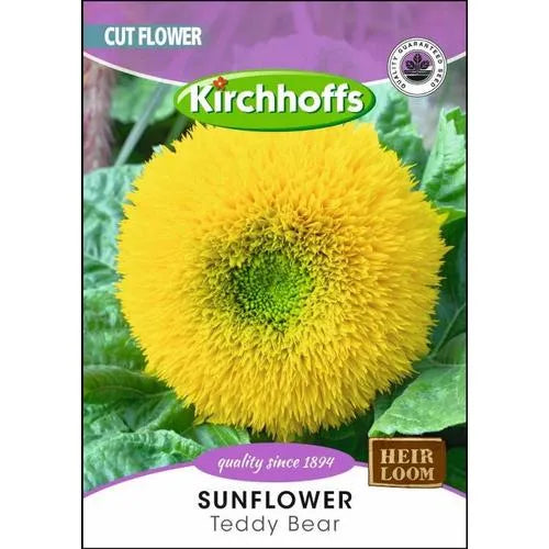 Flower Seed Sunflower Kirchhoffs-Teddy Bear-Picture Packet-