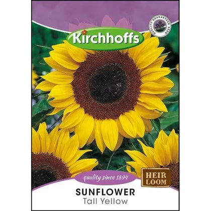 Flower Seed Sunflower Kirchhoffs-Tall Yellow-Picture Packet
